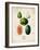 Melons-null-Framed Art Print