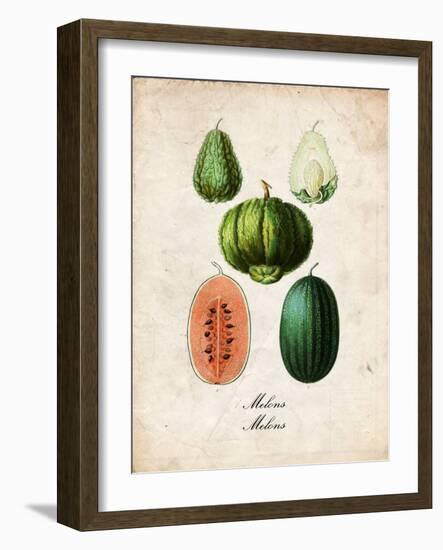Melons-null-Framed Art Print