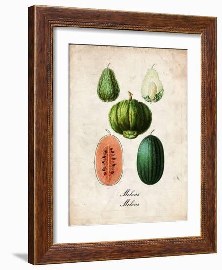 Melons-null-Framed Art Print