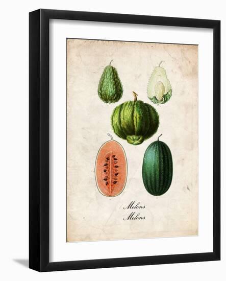 Melons-null-Framed Art Print