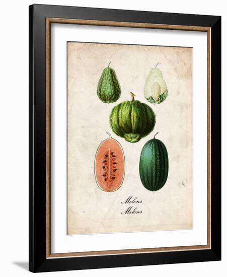 Melons-null-Framed Art Print