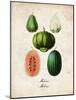 Melons-null-Mounted Art Print