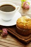 Delicious Poppy Seed Muffins with A Cup of Coffee-Melpomene-Photographic Print