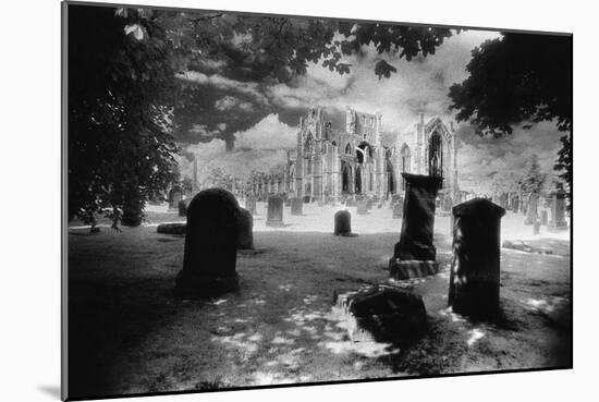 Melrose Abbey, Roxburghshire, Scotland-Simon Marsden-Mounted Giclee Print