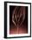 Melted Chocolate Running from a Whisk-Armin Zogbaum-Framed Photographic Print