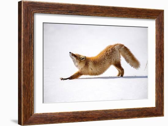 Melting Heart (Anahatasana)-Q Liu-Framed Giclee Print