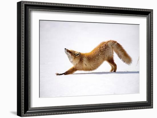 Melting Heart (Anahatasana)-Q Liu-Framed Giclee Print