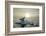 Melting Iceberg, Hudson Bay, Nunavut, Canada-Paul Souders-Framed Photographic Print