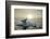 Melting Iceberg, Hudson Bay, Nunavut, Canada-Paul Souders-Framed Photographic Print