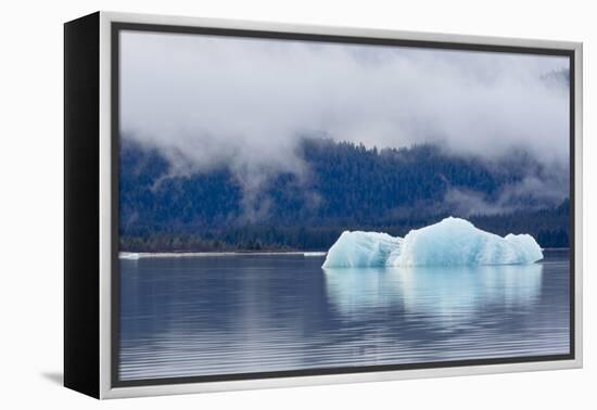 Melting Iceberg in Mendenhall Lake-fmcginn-Framed Premier Image Canvas