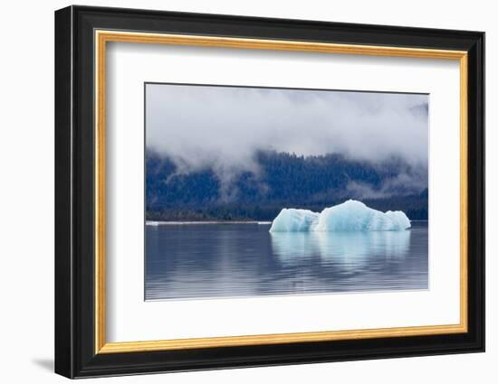 Melting Iceberg in Mendenhall Lake-fmcginn-Framed Photographic Print