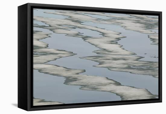 Melting Sea Ice-DLILLC-Framed Premier Image Canvas