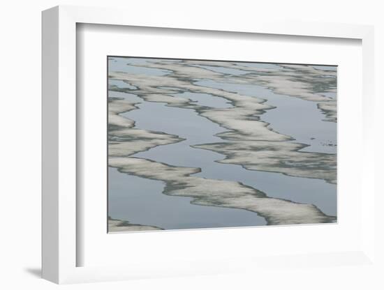 Melting Sea Ice-DLILLC-Framed Photographic Print