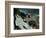 Melting Snow at L'Estaque, 1870-71-Paul Cézanne-Framed Giclee Print