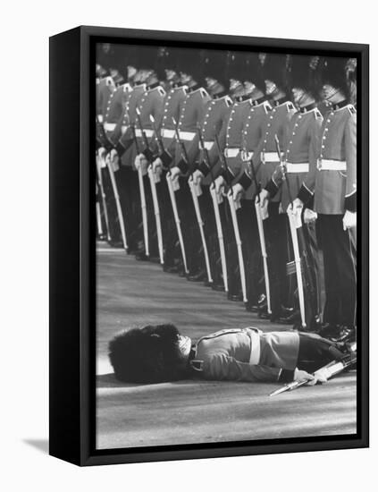 Member of Honor Guard Lying on the Ground After Fainting During Ceremonies For Queen Elizabeth-John Loengard-Framed Premier Image Canvas
