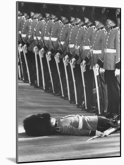 Member of Honor Guard Lying on the Ground After Fainting During Ceremonies For Queen Elizabeth-John Loengard-Mounted Photographic Print