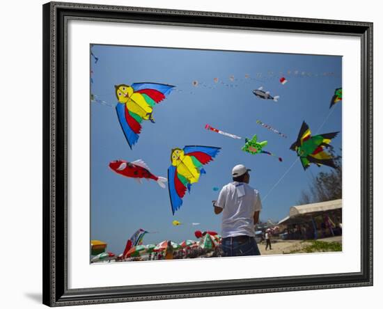 Member of Indonesia Kite Team Flies Kite with Series of Colorful Bird Sales, Vung Tau City, Vietnam-null-Framed Photographic Print