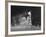 Member of the Cleveland Indians Stealing a Base During a Game Against the New York Yankees-Yale Joel-Framed Premium Photographic Print