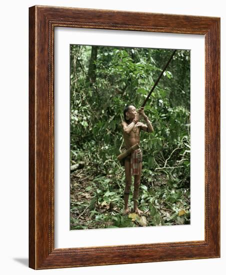 Member of the Penan Tribe with Blowpipe, Mulu Expedition, Sarawak, Island of Borneo, Malaysia-Robin Hanbury-tenison-Framed Photographic Print