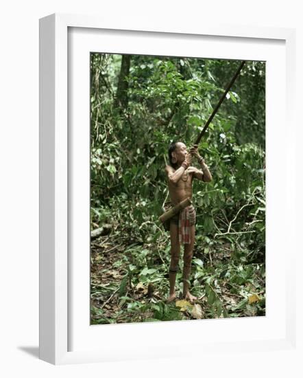 Member of the Penan Tribe with Blowpipe, Mulu Expedition, Sarawak, Island of Borneo, Malaysia-Robin Hanbury-tenison-Framed Photographic Print