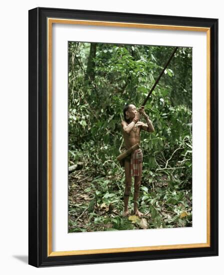 Member of the Penan Tribe with Blowpipe, Mulu Expedition, Sarawak, Island of Borneo, Malaysia-Robin Hanbury-tenison-Framed Photographic Print