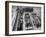 Members of Local Fire Department and Their Fire Engines-Alfred Eisenstaedt-Framed Photographic Print