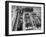 Members of Local Fire Department and Their Fire Engines-Alfred Eisenstaedt-Framed Photographic Print