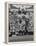 Members of the Cleveland Indians Conferring on the Mound During a Game-Yale Joel-Framed Premier Image Canvas