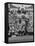 Members of the Cleveland Indians Conferring on the Mound During a Game-Yale Joel-Framed Premier Image Canvas