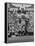 Members of the Cleveland Indians Conferring on the Mound During a Game-Yale Joel-Framed Premier Image Canvas