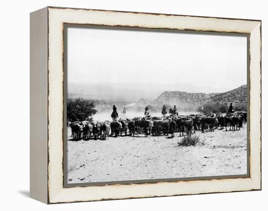 Members of the Northern Cheyenne Tribe of Montana's Tongue River Indian Reservation-null-Framed Premier Image Canvas