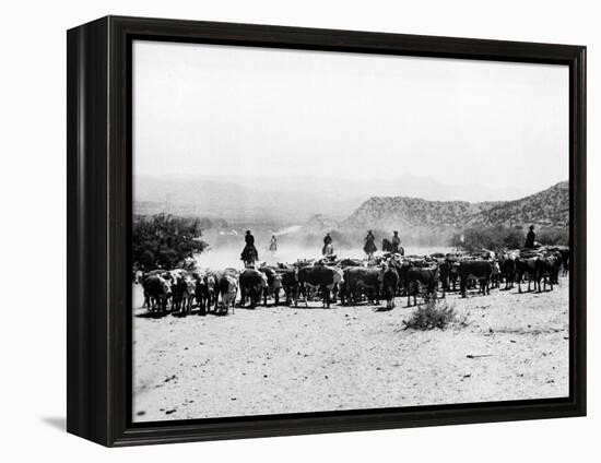 Members of the Northern Cheyenne Tribe of Montana's Tongue River Indian Reservation-null-Framed Premier Image Canvas