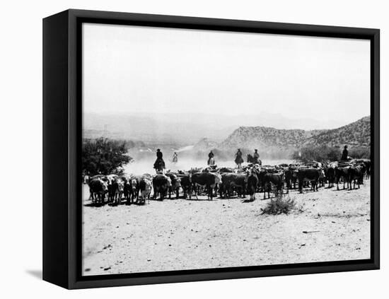 Members of the Northern Cheyenne Tribe of Montana's Tongue River Indian Reservation-null-Framed Premier Image Canvas