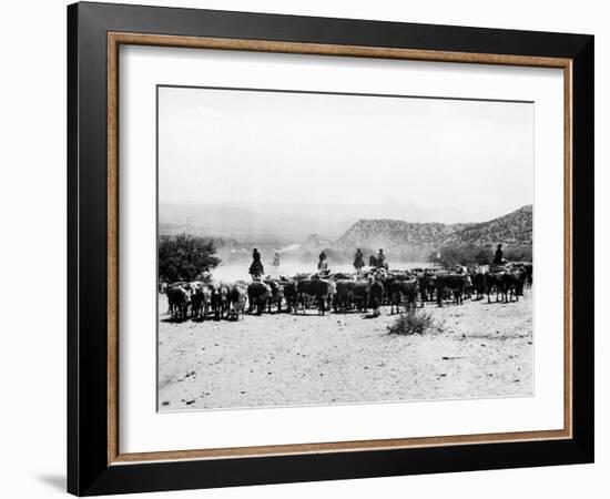 Members of the Northern Cheyenne Tribe of Montana's Tongue River Indian Reservation-null-Framed Premium Photographic Print