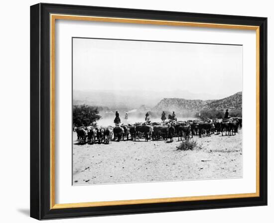 Members of the Northern Cheyenne Tribe of Montana's Tongue River Indian Reservation-null-Framed Premium Photographic Print