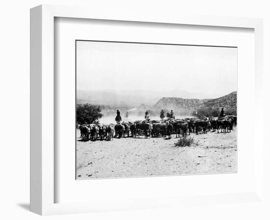 Members of the Northern Cheyenne Tribe of Montana's Tongue River Indian Reservation-null-Framed Photographic Print