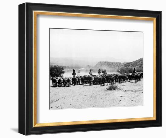 Members of the Northern Cheyenne Tribe of Montana's Tongue River Indian Reservation-null-Framed Photographic Print