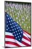 Memorial Day, Fort Indiantown Gap, Pennsylvania-Paul Souders-Mounted Photographic Print