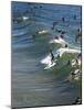 Memorial Paddle Out in Remembrance for Professional Surfer Andy Irons, Huntington Beach, Usa-Micah Wright-Mounted Photographic Print