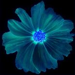 Blue Neon Flowers Background.-Memories Lines-Framed Art Print
