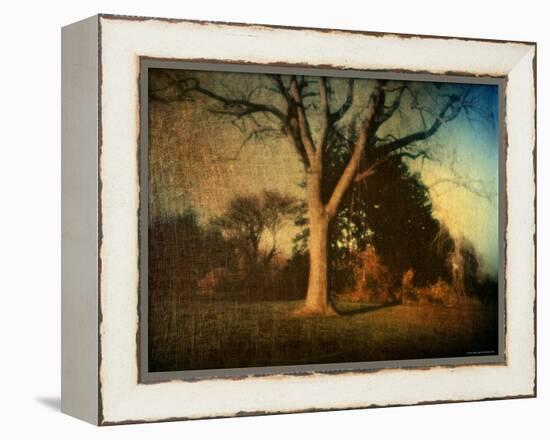 Memories of a Tree-Robert Cattan-Framed Premier Image Canvas