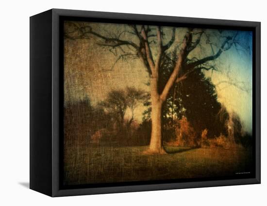 Memories of a Tree-Robert Cattan-Framed Premier Image Canvas