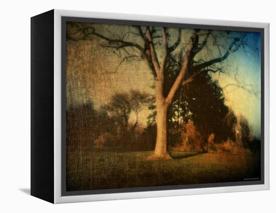 Memories of a Tree-Robert Cattan-Framed Premier Image Canvas