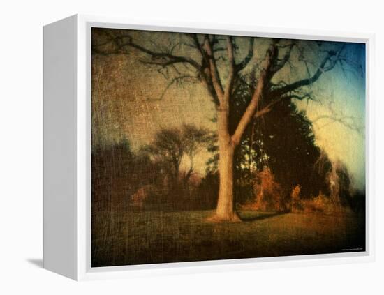 Memories of a Tree-Robert Cattan-Framed Premier Image Canvas