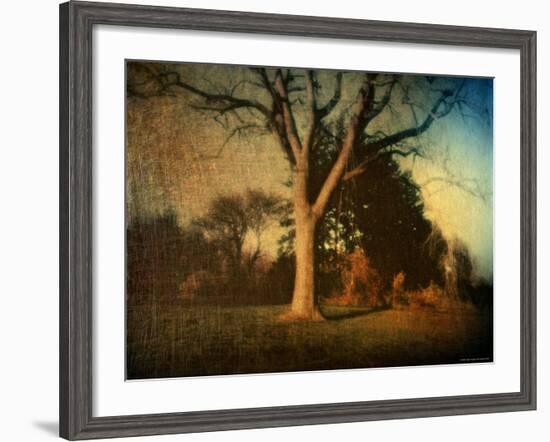 Memories of a Tree-Robert Cattan-Framed Photographic Print