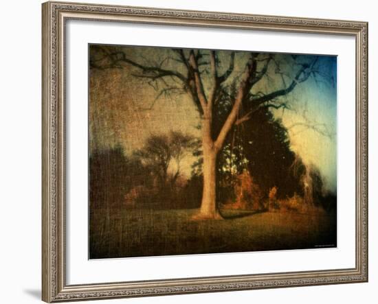 Memories of a Tree-Robert Cattan-Framed Photographic Print