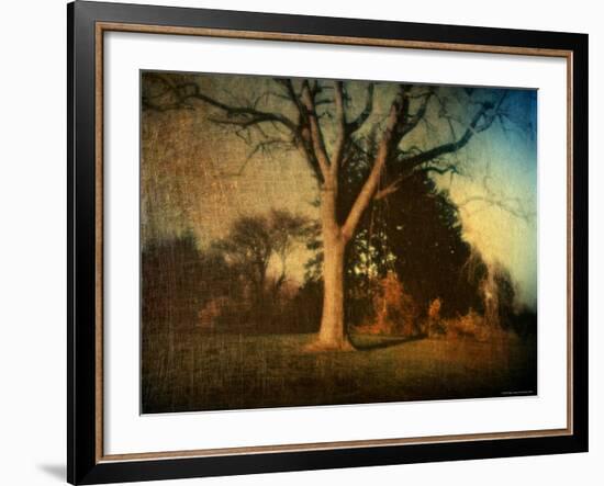 Memories of a Tree-Robert Cattan-Framed Photographic Print