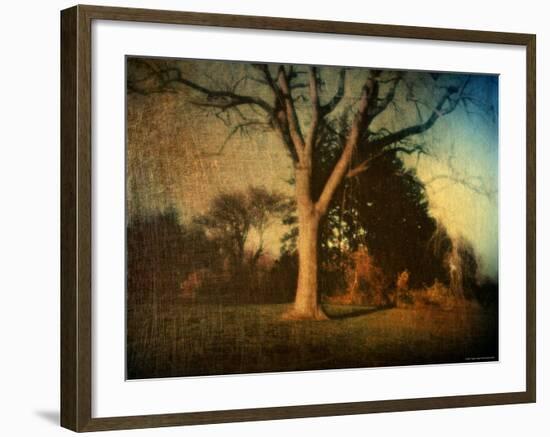 Memories of a Tree-Robert Cattan-Framed Photographic Print