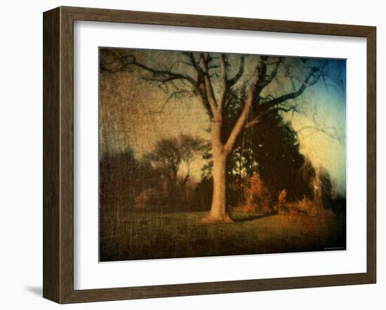 Memories of a Tree-Robert Cattan-Framed Photographic Print