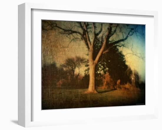 Memories of a Tree-Robert Cattan-Framed Photographic Print